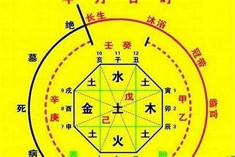 取用神|八字用神详解之如何取用神（详细）